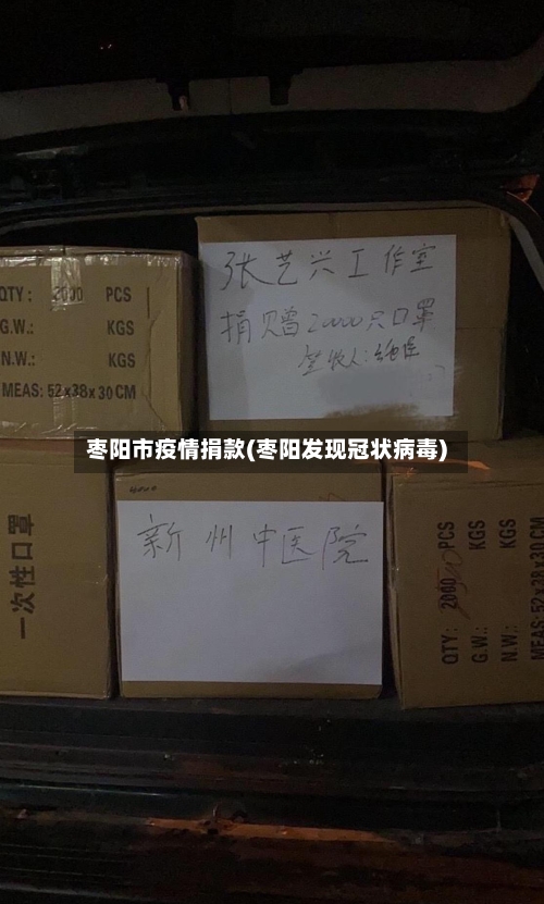 枣阳市疫情捐款(枣阳发现冠状病毒)-第3张图片