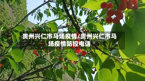 贵州兴仁市马场疫情/贵州兴仁市马场疫情防控电话-第1张图片