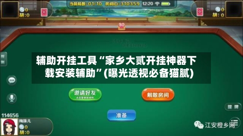 辅助开挂工具“家乡大贰开挂神器下载安装辅助”(曝光透视必备猫腻)-第2张图片