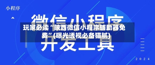 玩家必读“陕西微信小程序辅助器免费	”(曝光透视必备猫腻)-第1张图片