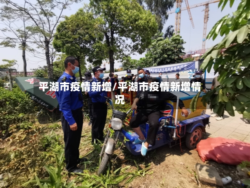 平湖市疫情新增/平湖市疫情新增情况-第1张图片