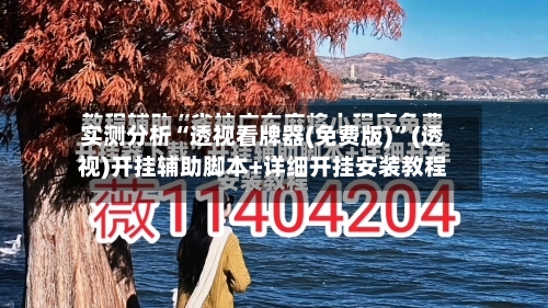 实测分析“透视看牌器(免费版)”(透视)开挂辅助脚本+详细开挂安装教程-第2张图片