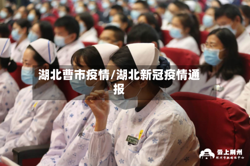 湖北曹市疫情/湖北新冠疫情通报-第2张图片