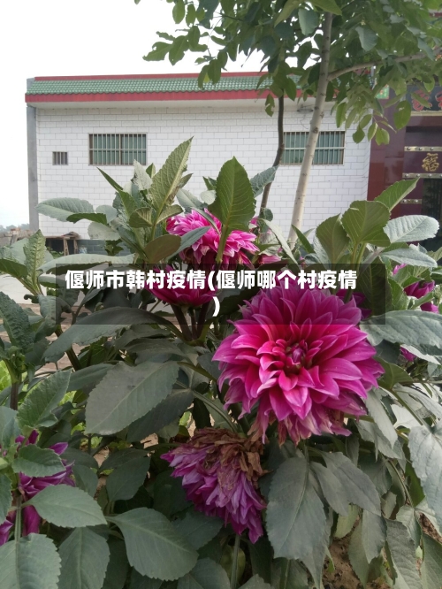 偃师市韩村疫情(偃师哪个村疫情)-第1张图片