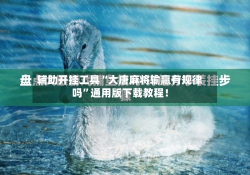 辅助开挂工具“大唐麻将输赢有规律吗”通用版下载教程！-第3张图片