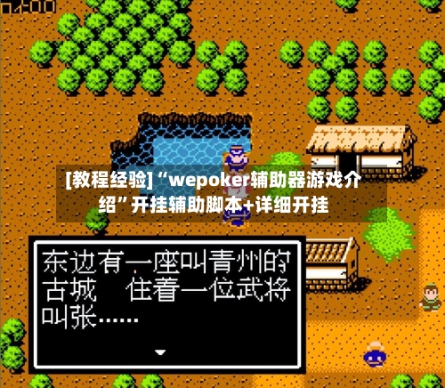 [教程经验]“wepoker辅助器游戏介绍	”开挂辅助脚本+详细开挂-第1张图片