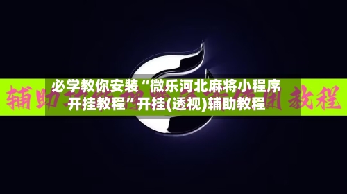 必学教你安装“微乐河北麻将小程序开挂教程	”开挂(透视)辅助教程-第3张图片