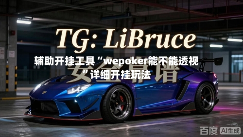 辅助开挂工具“wepoker能不能透视	”详细开挂玩法-第1张图片