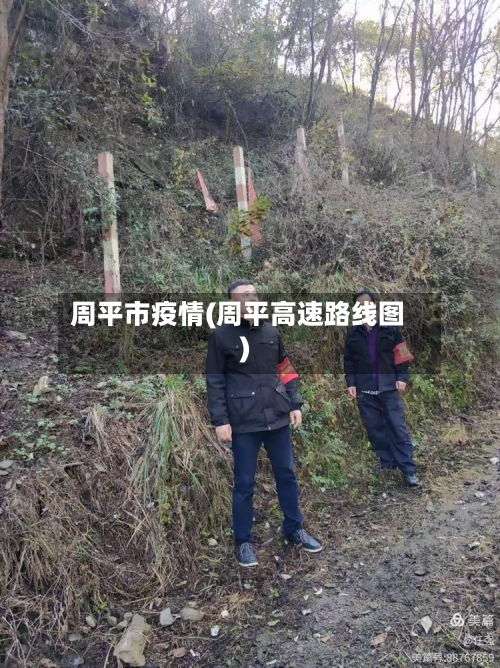 周平市疫情(周平高速路线图)-第2张图片