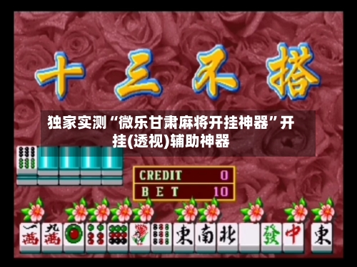 独家实测“微乐甘肃麻将开挂神器”开挂(透视)辅助神器-第3张图片