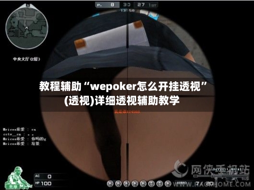 教程辅助“wepoker怎么开挂透视”(透视)详细透视辅助教学-第2张图片