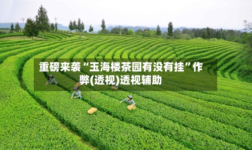 重磅来袭“玉海楼茶园有没有挂”作弊(透视)透视辅助-第1张图片