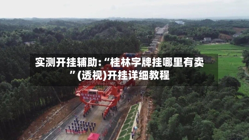 实测开挂辅助:“桂林字牌挂哪里有卖”(透视)开挂详细教程-第2张图片