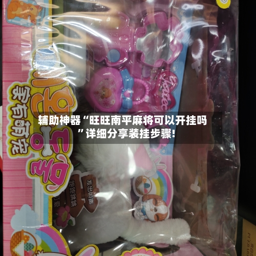辅助神器“旺旺南平麻将可以开挂吗	”详细分享装挂步骤!-第1张图片