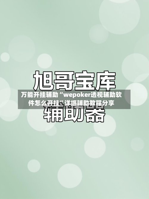 万能开挂辅助“wepoker透视辅助软件怎么开挂”详细辅助教程分享-第1张图片