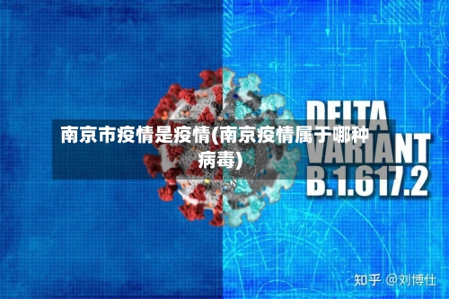 南京市疫情是疫情(南京疫情属于哪种病毒)-第1张图片