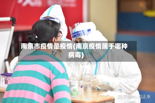 南京市疫情是疫情(南京疫情属于哪种病毒)-第2张图片