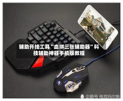 辅助开挂工具“血拼三张辅助器”科技辅助神器手机版教程-第2张图片