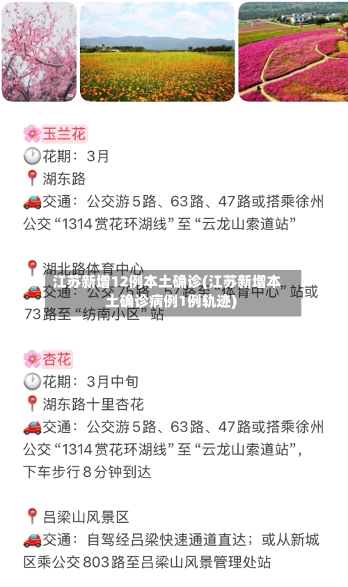 江苏新增12例本土确诊(江苏新增本土确诊病例1例轨迹)-第1张图片