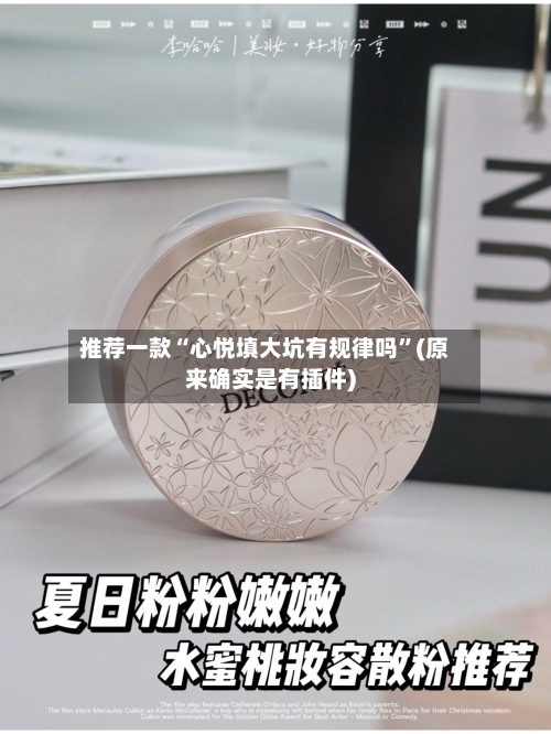 推荐一款“心悦填大坑有规律吗”(原来确实是有插件)-第1张图片