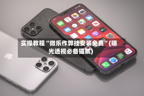 实操教程“微乐作弊挂安装免费	”(曝光透视必备猫腻)-第2张图片