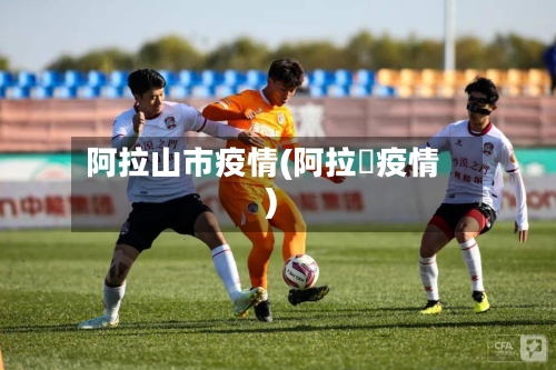 阿拉山市疫情(阿拉尓疫情)-第3张图片