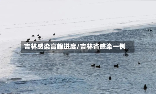 吉林感染高峰进度/吉林省感染一例-第1张图片