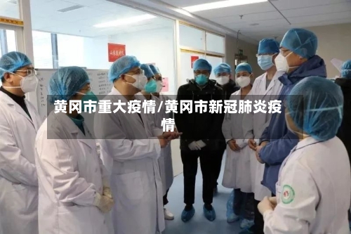 黄冈市重大疫情/黄冈市新冠肺炎疫情-第2张图片
