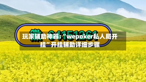 玩家辅助神器:“wepoker私人局开挂”开挂辅助详细步骤-第3张图片