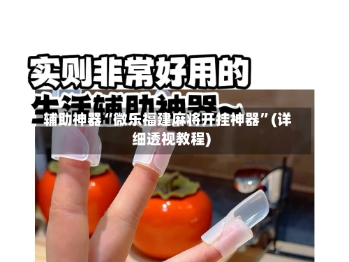 辅助神器“微乐福建麻将开挂神器”(详细透视教程)-第2张图片