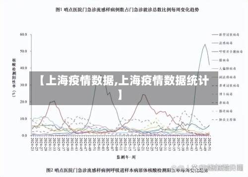 【上海疫情数据,上海疫情数据统计】-第3张图片