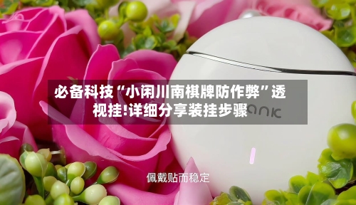 必备科技“小闲川南棋牌防作弊”透视挂!详细分享装挂步骤-第3张图片