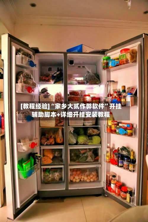 [教程经验]“家乡大贰作弊软件”开挂辅助脚本+详细开挂安装教程-第2张图片