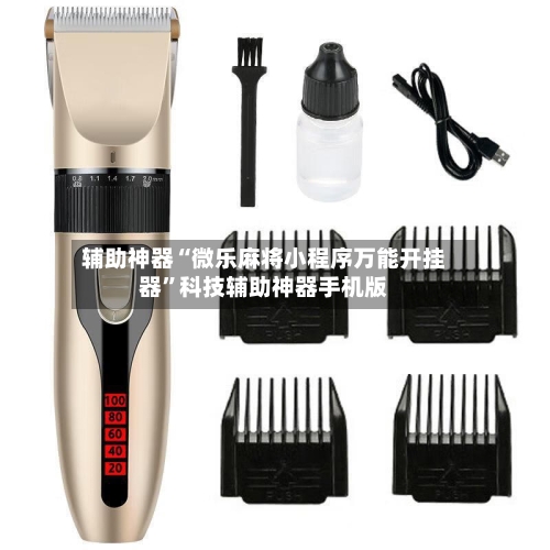 辅助神器“微乐麻将小程序万能开挂器”科技辅助神器手机版-第1张图片