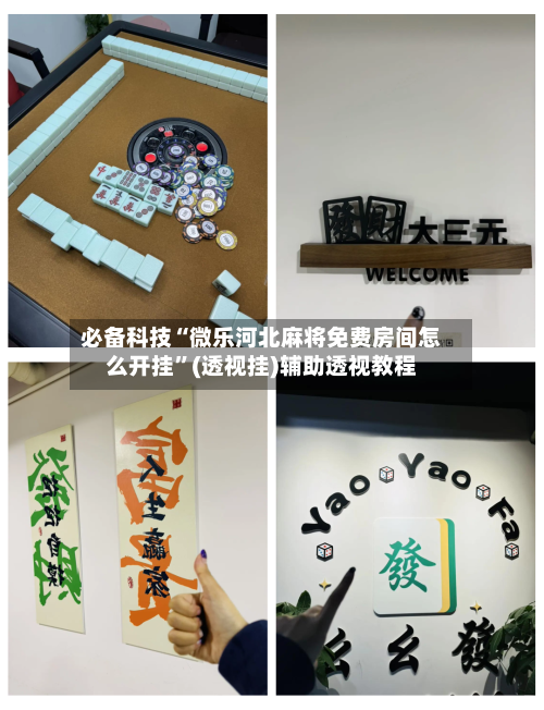 必备科技“微乐河北麻将免费房间怎么开挂”(透视挂)辅助透视教程-第3张图片