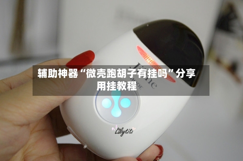 辅助神器“微壳跑胡子有挂吗”分享用挂教程-第1张图片