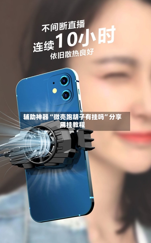 辅助神器“微壳跑胡子有挂吗”分享用挂教程-第3张图片