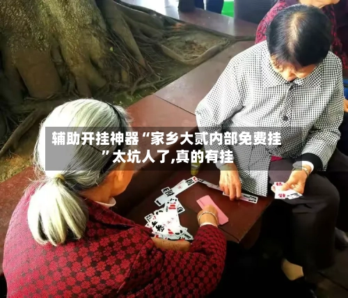 辅助开挂神器“家乡大贰内部免费挂	”太坑人了,真的有挂-第2张图片