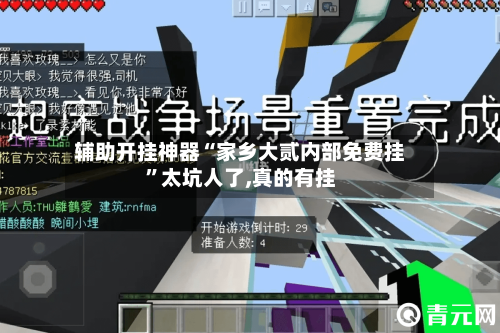 辅助开挂神器“家乡大贰内部免费挂”太坑人了,真的有挂-第1张图片