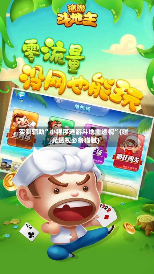 实测辅助	”小程序途游斗地主透视”(曝光透视必备猫腻)-第1张图片