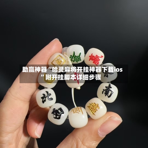 助赢神器“哈灵麻将开挂神器下载ios”附开挂脚本详细步骤-第3张图片