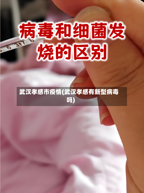 武汉孝感市疫情(武汉孝感有新型病毒吗)-第2张图片