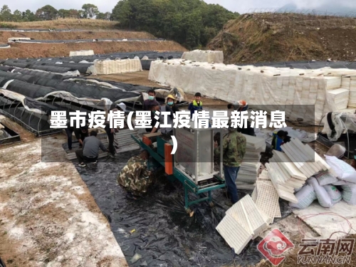 墨市疫情(墨江疫情最新消息)-第3张图片