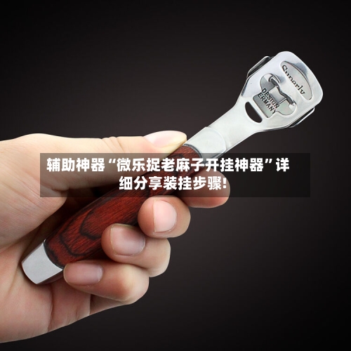 辅助神器“微乐捉老麻子开挂神器	”详细分享装挂步骤!-第2张图片