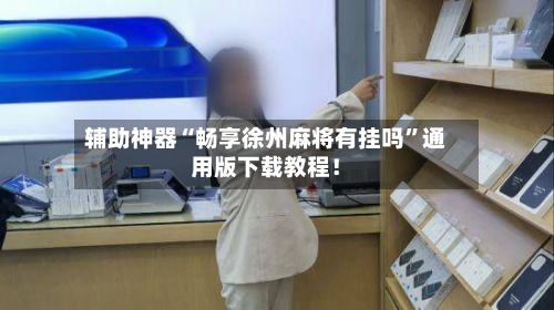 辅助神器“畅享徐州麻将有挂吗”通用版下载教程！-第1张图片