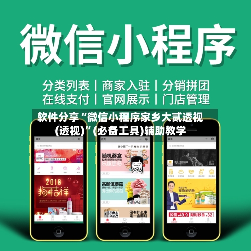 软件分享“微信小程序家乡大贰透视(透视)”(必备工具)辅助教学-第1张图片