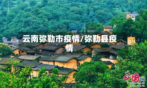 云南弥勒市疫情/弥勒县疫情-第2张图片