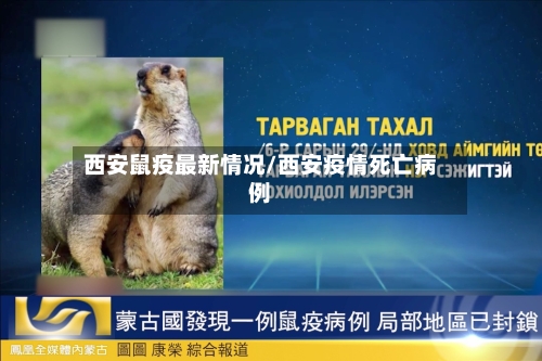 西安鼠疫最新情况/西安疫情死亡病例-第3张图片