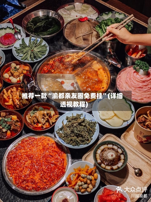 推荐一款“渝都亲友圈免费挂”(详细透视教程)-第1张图片
