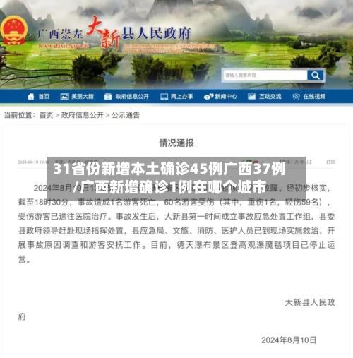 31省份新增本土确诊45例广西37例/广西新增确诊1例在哪个城市-第2张图片